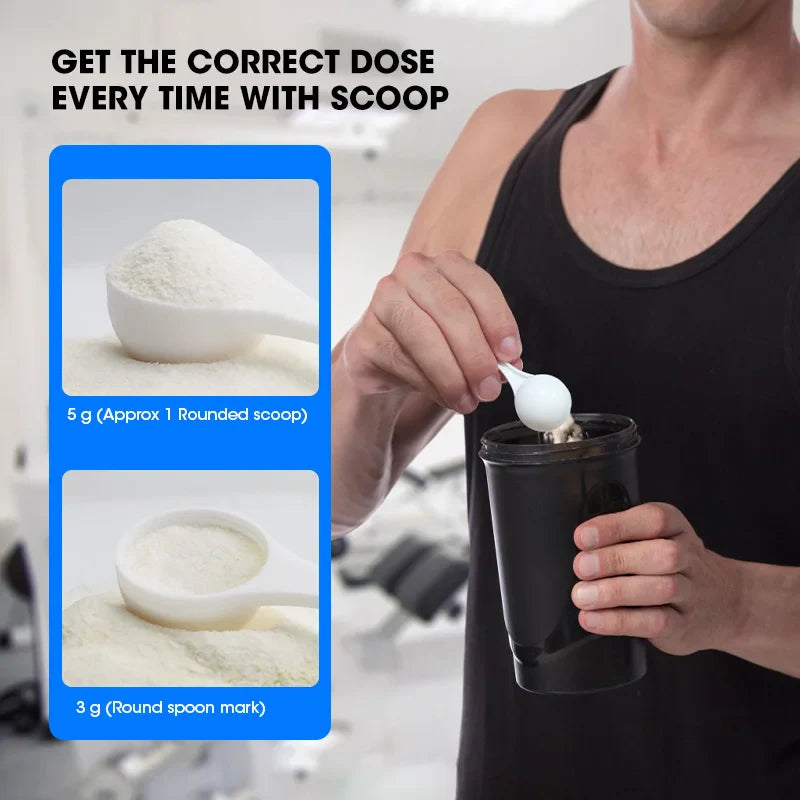 Creatine Monohydrate Enhance Muscle Strength Sports Dietary Supplements for Workout Muscle Building Cellular Energy GMP