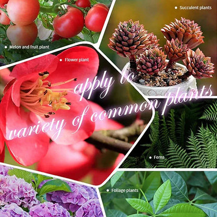 Household Gardening Organic Fertilizer Potted Succulent Organic Fertilizer Nutrient Slow Release for Foliage Plants Fruit Grow
