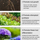 Household Gardening Organic Fertilizer Potted Succulent Organic Fertilizer Nutrient Slow Release for Foliage Plants Fruit Grow