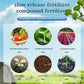 Household Gardening Organic Fertilizer Potted Succulent Organic Fertilizer Nutrient Slow Release for Foliage Plants Fruit Grow