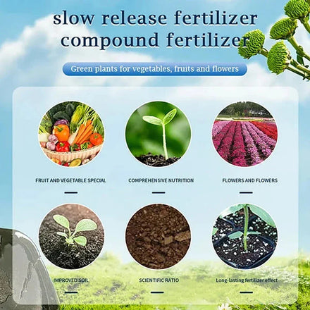 Household Gardening Organic Fertilizer Potted Succulent Organic Fertilizer Nutrient Slow Release for Foliage Plants Fruit Grow