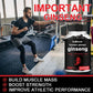 Korean Red Ginseng - Powerful Ginsenosides for Energy, Focus, Performance, Endurance & Immunity | Korean Red Ginseng Supplements