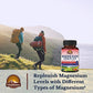 Magnesium Supplement, Multi-Magnesium Complex, Dietary Supplement, Supports Muscle Health, Relaxation, 30/60/120 Capsules