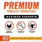 Natural Tribulus Terrestris - 10x Concentrated Extract Equivalent Supports Athletic Performance Gluten-Free, Non-GMO