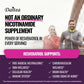 Niacinamide Supplement Supports Skin Health, Metabolism, Cell Regeneration, Brain and Cardiovascular Health and Boosts Immunity