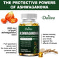 Organic Ashwagandha Specific Capsules Support Brain and Memory, Relieve Stress, Support Concentration, Deep Sleep, Unisex