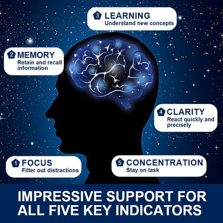 Plus Vegetarian Health Brain T Supplement Supports Memory,Focus,Clarity, &Mental Energy with,Plus Phosphatidylserine&Huperzine A