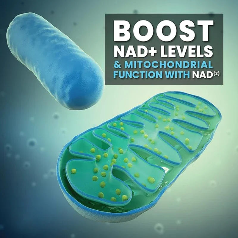 Liposomal Pure NAD + Supplement 1000mg, Highest NAD Pontcy High Absorption Energy & DNA Repair Anti-Aging 120 Capsules
