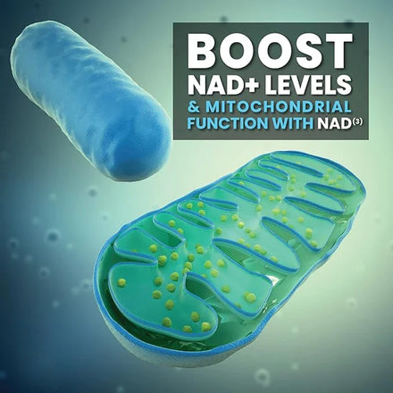 Liposomal Pure NAD + Supplement 1000mg, Highest NAD Pontcy High Absorption Energy & DNA Repair Anti-Aging 120 Capsules
