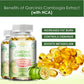 Tenhuang Fruit Supplements - Helps with Weight Management, Increases Fat Burning, Boosts Metabolism, and Digestive Health
