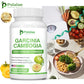 Garcinia Cambogia - Fat Burner, Cellulite, Weight Management, Appetite Suppressant