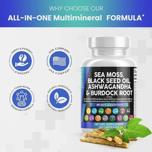Vitamin and Mineral Supplement for Adults Men & Women - Supports Immunity, Bones, Joints, Antioxidants, Healthy Digestion, Mood in Pakistan