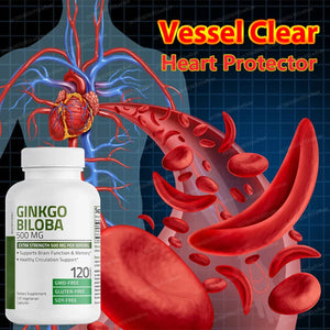 Ginkgo Biloba Extra Capsules Supports Brain Function & Memory Support, Nootropic Brain Supplement Blood Circulation