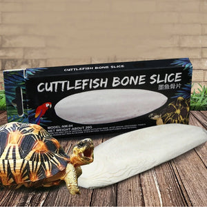 Reptile Turtle Health Slow Release Calcium Mineral Cuttlefish Bone for Aquatic Bird Feed Cuttlebone Block Calcium Supplement in Pakistan