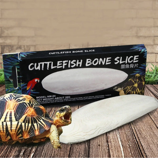 Reptile Turtle Health Slow Release Calcium Mineral Cuttlefish Bone for Aquatic Bird Feed Cuttlebone Block Calcium Supplement in Pakistan in Pakistan