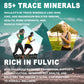 Shilajit - High Potency for Energy Boost & Immune Support, Focus Healthy Care