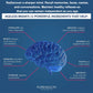 Helps Improve Cognitive Performance, Stress Relief and Brain Memory, Concentration and IQ Supplemen