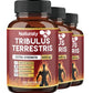 Tribulus Terrestris Extract Capsules for Men and Women - Supports Energy, Mood, Endurance and Athletic Performance