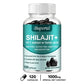 Shilajit - High Potency for Energy Boost & Immune Support, Focus Healthy Care
