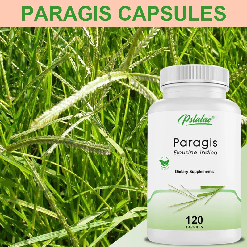 Organic Supplement, Naturethics Paragis Pregnancy Nutrition PCOS Cyst, 120 Capsules, Non-GMO