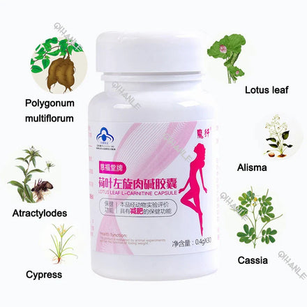 Enhanced L-carnitine Weight Loss Diet Pill Slimming Capsule Lose Weight lotus leaf Fat Burning Cellulite Slim Belly thin legs