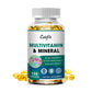 Catfit MultiVitamin & Minerals Capsule Anti-alopecia Skin Repair liver Health & Energy Care Improve anemia Health supplements