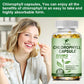 Chlorophyll Capsules Detox Cleanse, Greens Supplements- Chlorophyll Capsules -Ultra High Absorption