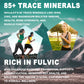 Shilajit - High Potency for Energy Boost & Immune Support, Focus Healthy Care