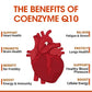 120 Coenzyme Q10 Capsules Provide Energy Vitamin Health Food Organic Ultra High Absorption COQ10