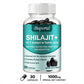 Shilajit - High Potency for Energy Boost & Immune Support, Focus Healthy Care