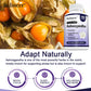 Ashwagandha + Black Pepper Extract Capsules - Helps Mood Reduce Anxiety and Stress,  Improving Sleep, Brain Health Supplement
