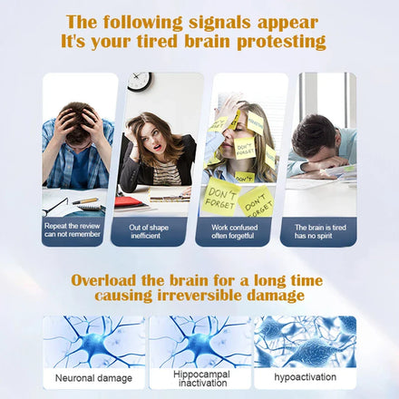 Soomiig Brain Supplement – Boosts Brain Function, Immunity, Helps Improve Memory, Intelligence and Concentration.