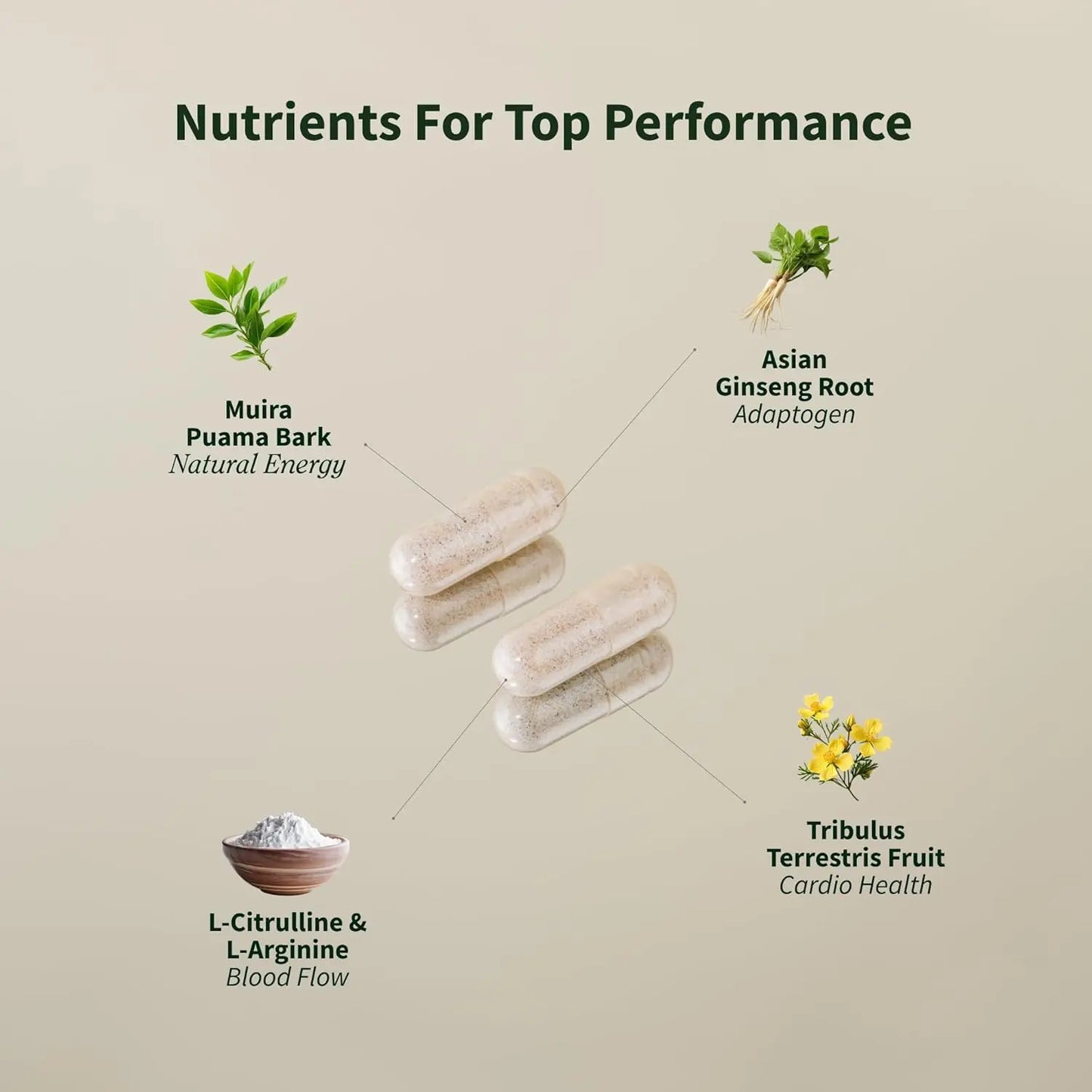 Nitric Oxide Supplements, And A 6-in-1 Plant Nutrient Mixture For Use In The Heart, Circulation, And Immunity