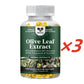 Powerful Olive Leaf Extract Capsules - High strength antioxidant supplement, containing pure olive leaves and 20% olivine - Herb