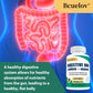 Digestive Enzyme Probiotic Capsules, Supports Gut Health, Immunity and Relieve Bloating, Promote Nutrition Digestion Supplement