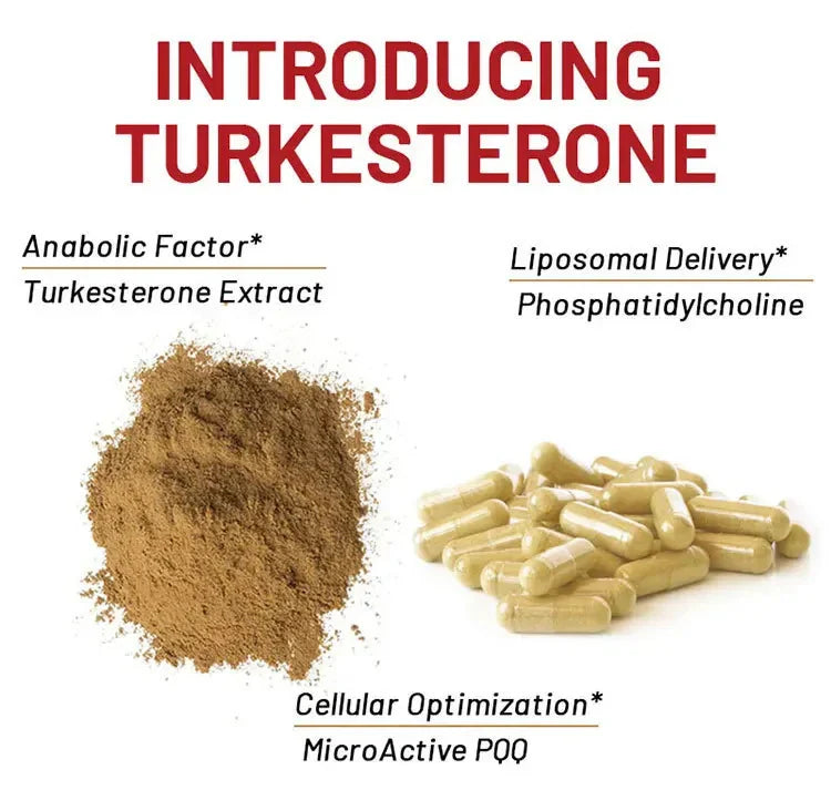 Turkesterone Capsule Mass Gainer Stamina Muscle Masse Nergy Fat Increasing Tablets Man Fat Growth Weight Gain for Men's Health