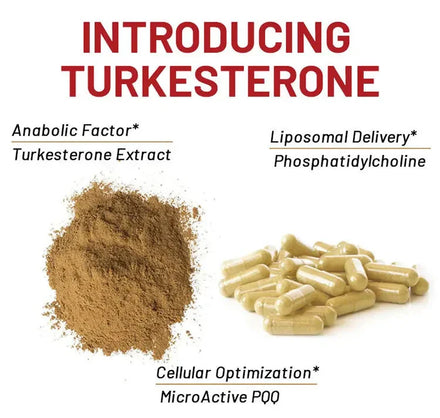 Turkesterone Capsule Mass Gainer Stamina Muscle Masse Nergy Fat Increasing Tablets Man Fat Growth Weight Gain for Men's Health
