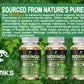Pure Organic Moringa Oil Leaf Powder Capsules 1000mg, Immune System&Energy Booster - Vegetarian Supplements for Healthy Capsules