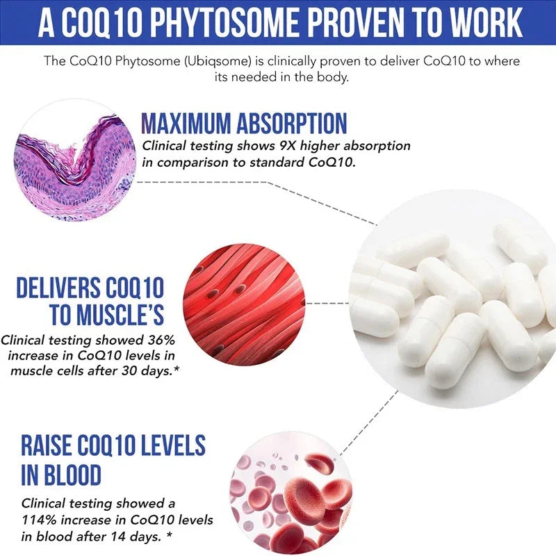 Super Absorbable Coenzyme Q10 Supplement 100mg - for Efficient Energy Production and Circulatory Health