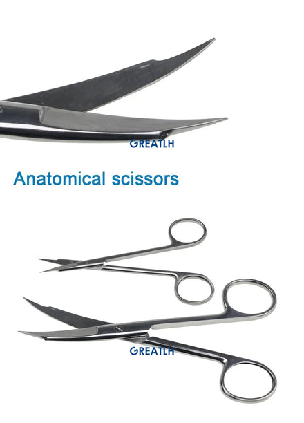 Surgical Scissors Stainless Steel Double Tipped Scissors Dissecting Scissors Straight Curved Head Surgical Tool