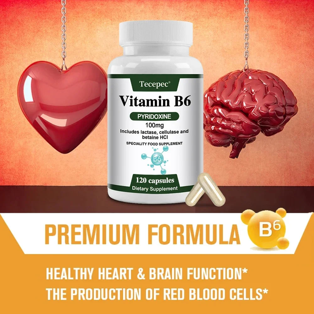 Vitamin B6 Capsules - Brain Function & Memory, Concentration, Cardiovascular, Skin, Hair, Immune, Non-GMO, Dietary Supplement