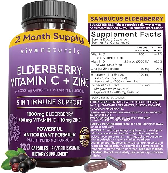 Viva Naturals Elderberry with Vitamin C and Z in Pakistan