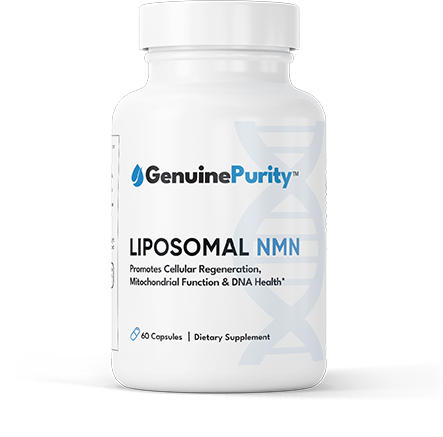 Liposomal NMN Supplement Cellular Energy Metabolism DNA Repair in Pakistan