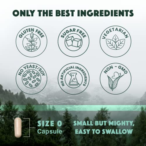 Natural Rhythm Triple Calm Magnesium 150 mg - 120 Capsules – Magnesium Complex Compound Supplement with Magnesium Glycinate, Malate, and Taurate. Calming Blend for Promoting Rest and Relaxation.
