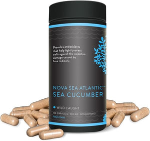 Wild Sea Cucumber Supplement Capsules Antioxidant Healthy Energy Supplement with Fucosylated Chondroitin Sulfate Collagen Glycosides Vitamins Minerals in Pakistan