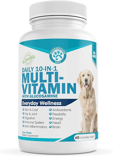 Wanderfound Pets 10-in-1 Dog Multivitamin, Chewable Dog Vitamins with Glucosamine, D3, and MSM, Dog Health Supplies for Immune System and Joint Health, Liver Flavor, 60 Tablets in Pakistan in Pakistan