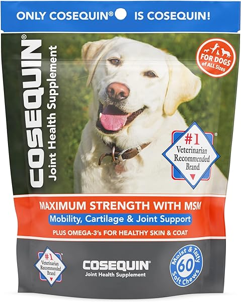 Nutramax Cosequin Joint Health Supplement for in Pakistan