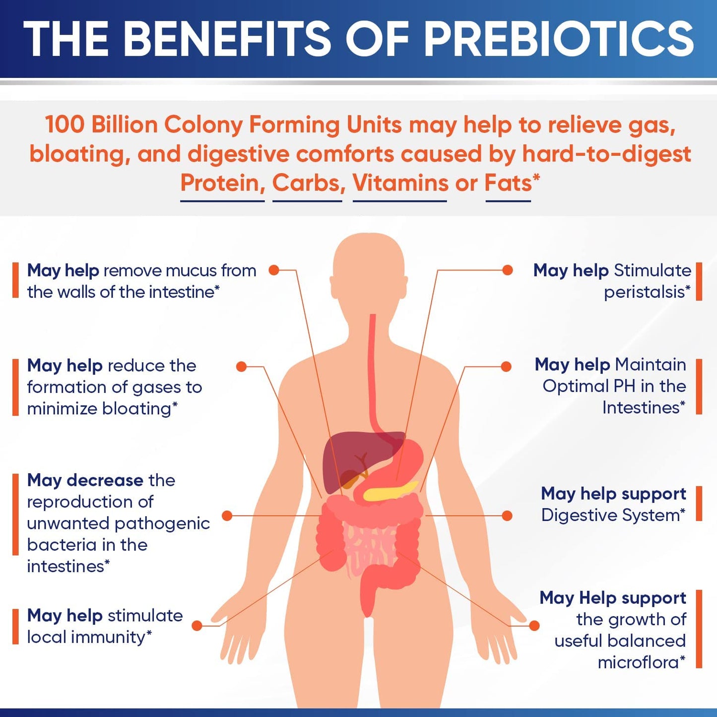 Organic Probiotics 100 Billion CFU, Dr Formulated Probiotics for Women Supplement in Pakistan