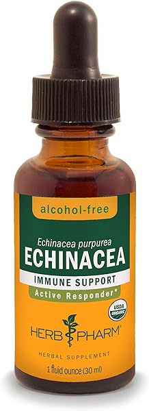 Herb Pharm Certified Organic Echinacea Root Liquid Extract for Immune System Support, Alcohol-Free Glycerite, 1 Ounce in Pakistan in Pakistan