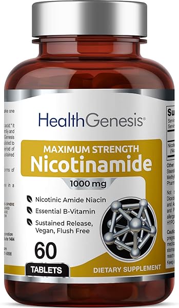 B-3 Nicotinamide 1000 mg 60 Tablets Extra Strength Timed Release - Nicotinic Amide Niacin Natural Flush-Free Vitamin Formula - Supports Skin Cell Health in Pakistan